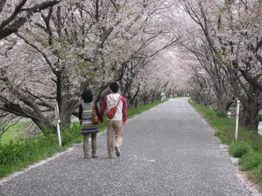 桜トンネル.jpg